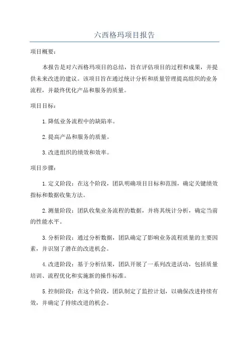 六西格玛项目报告