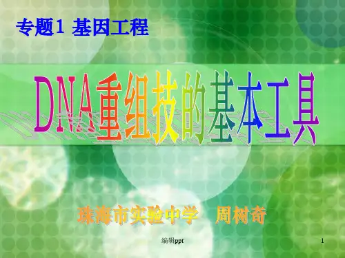 人教版教学课件11DNA重组技的基本工具