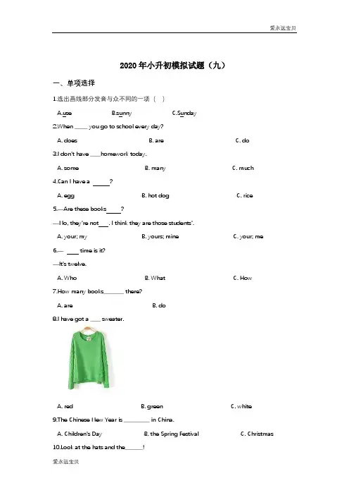 2020年小升初英语模拟试题(九)(译林版含答案)