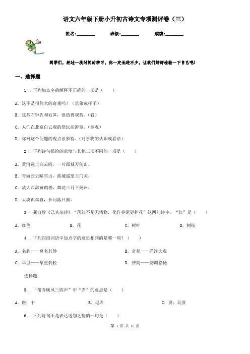 语文六年级下册小升初古诗文专项测评卷(三)