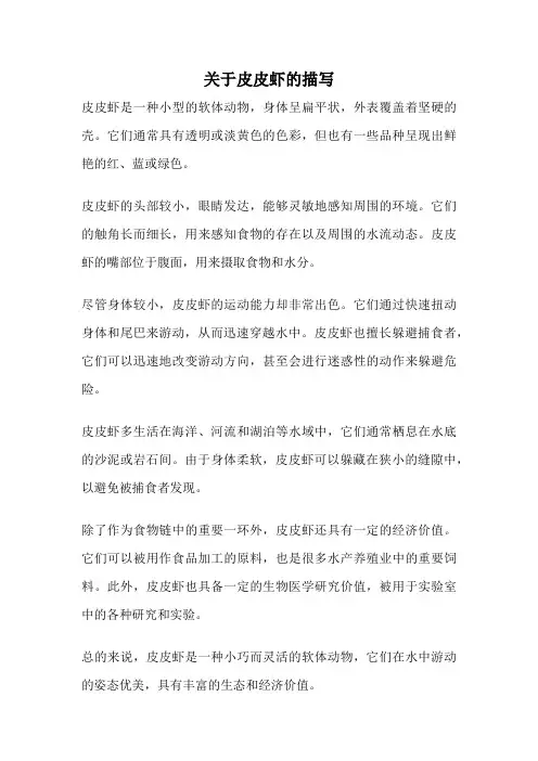 关于皮皮虾的描写