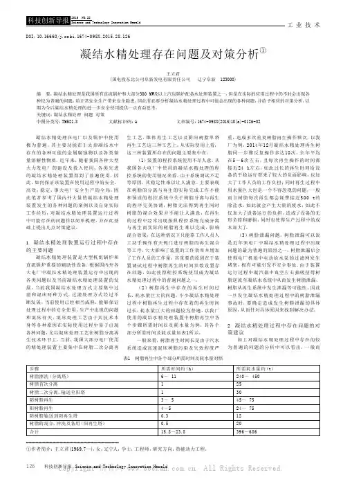 凝结水精处理存在问题及对策分析