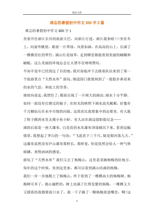 难忘的暑假初中作文600字5篇