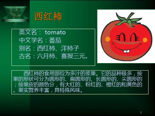 西红柿的介绍
