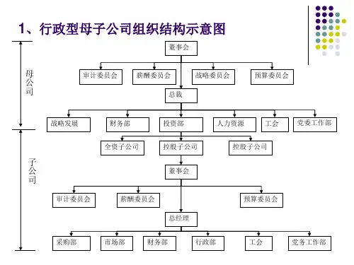 母子公司治理结构