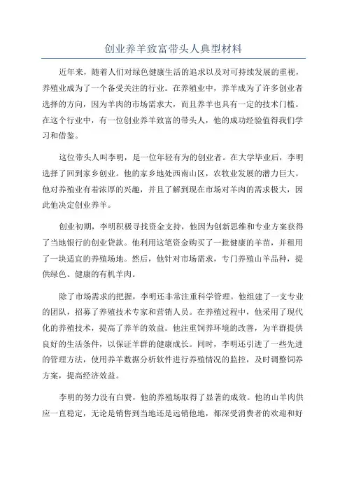 创业养羊致富带头人典型材料