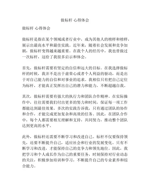 做标杆 心得体会