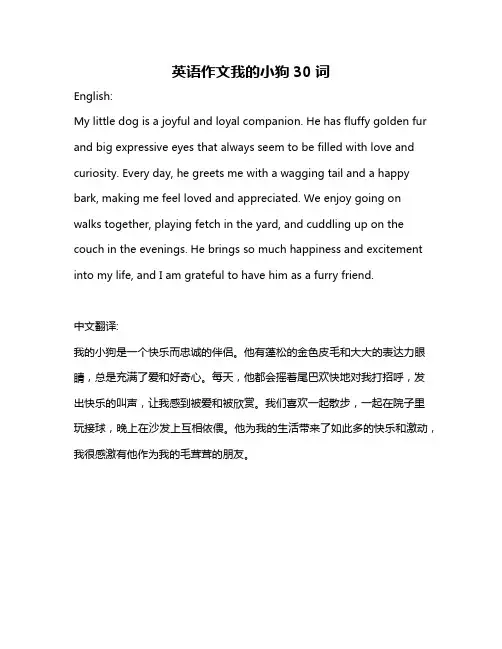英语作文我的小狗30词