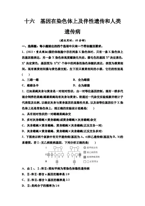 2024届高考生物一轮复习16基因在染色体上及伴性遗传和人类遗传病课时质量评价
