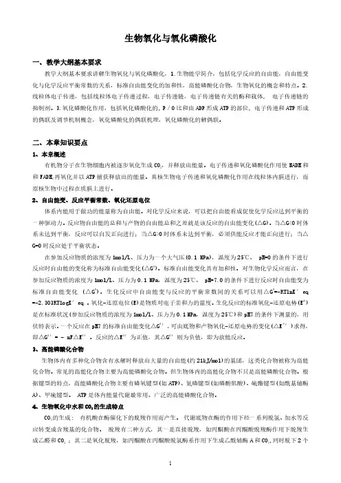 生物化学复习要点-生物氧化与氧化磷酸化