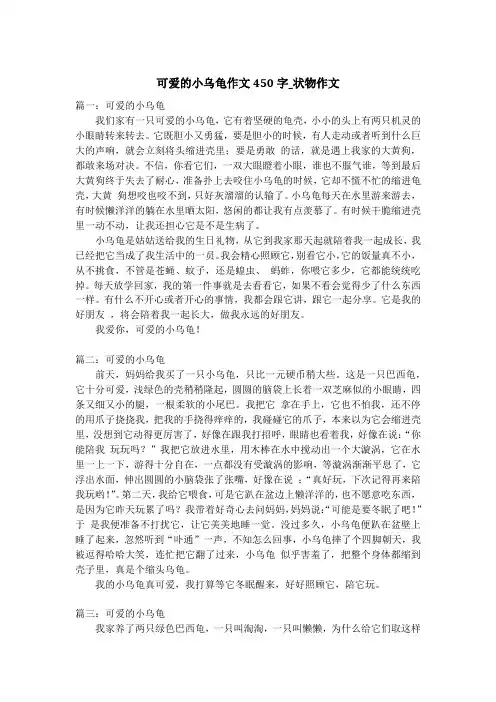 可爱的小乌龟作文450字_状物作文