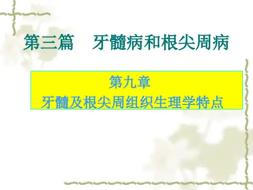 学习_第九十章牙髓及根尖周组织生理学特点