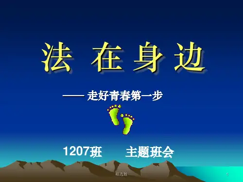 走好青春第一步[法制教育主题班会]