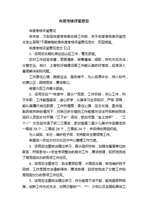 年度考核评鉴意见