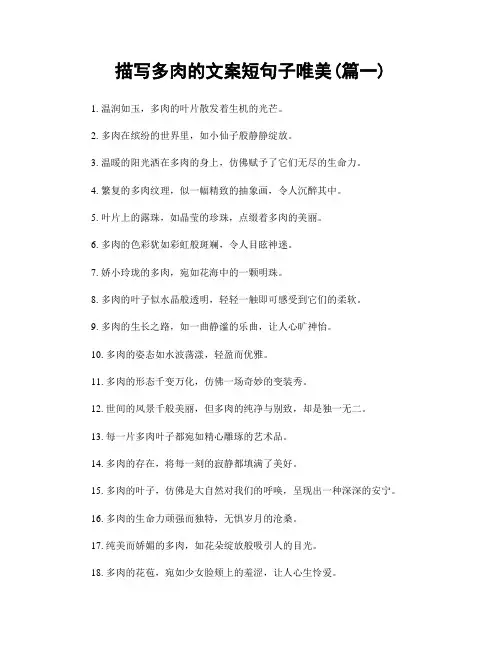 描写多肉的文案短句子唯美(精选合集2篇)