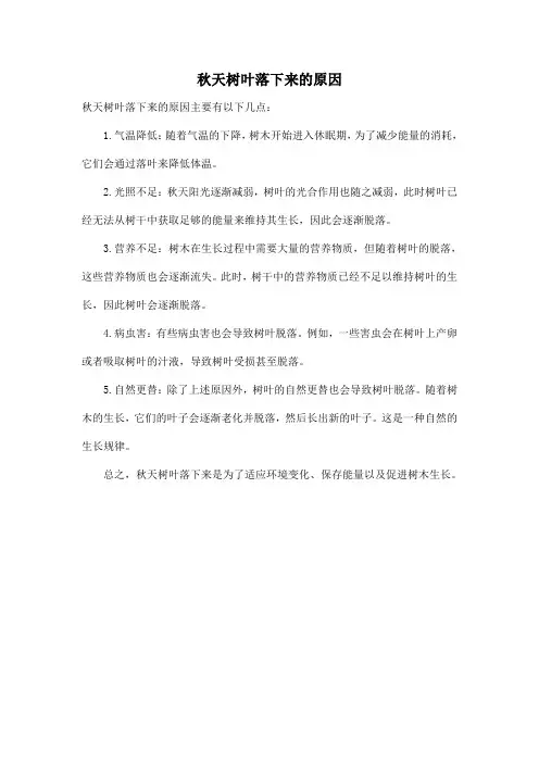 秋天树叶落下来的原因