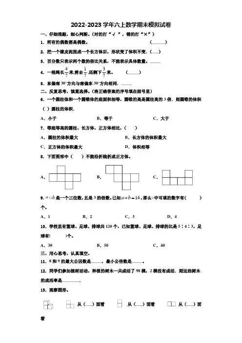 西宁市城中区2022年数学六年级第一学期期末质量检测模拟试题含解析