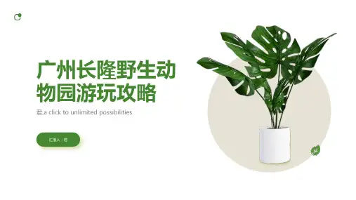 广州长隆野生动物园游玩攻略