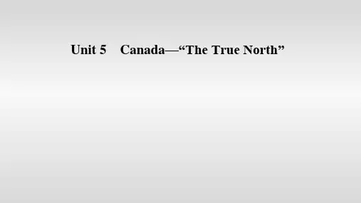 新高考英语人教版一轮复习课件学案必修3unit5Canada—“TheTrueNorth2