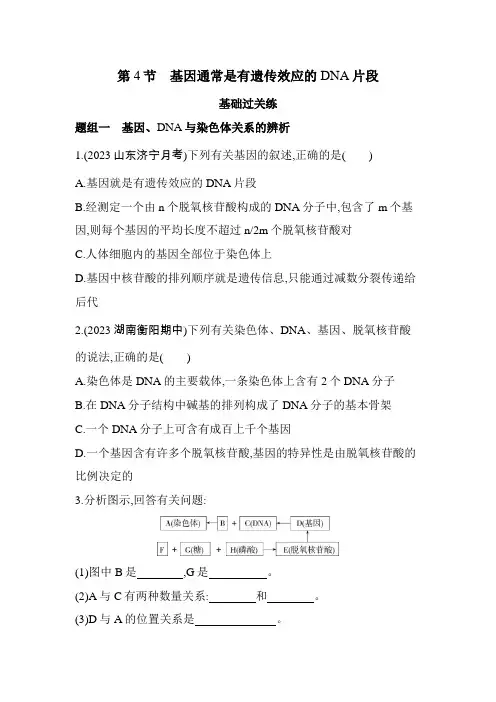 人教版高中生物必修2第3章基因的本质第4节基因通常是有遗传效应的DNA片段基础练含答案