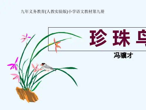 2019年精选--人教新课标版五年级语文上册第16课《珍珠鸟》ppt课件