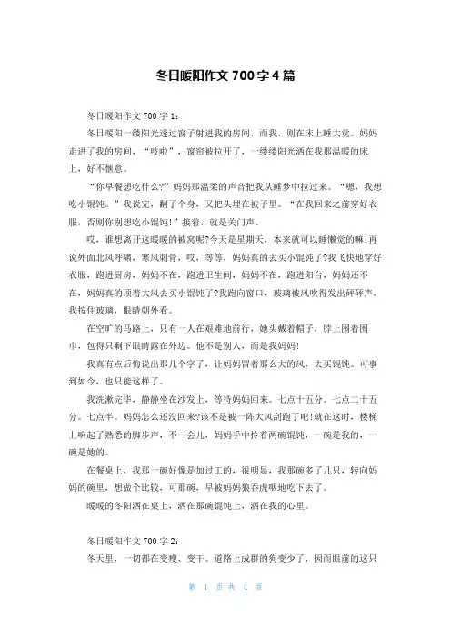 冬日暖阳作文700字4篇