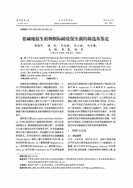 盐碱地盐生植物根际耐盐促生菌的筛选及鉴定