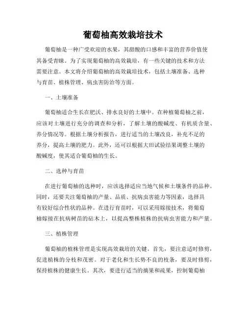 葡萄柚高效栽培技术
