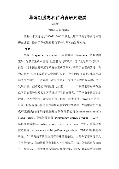 草莓脱毒种苗研究进展
