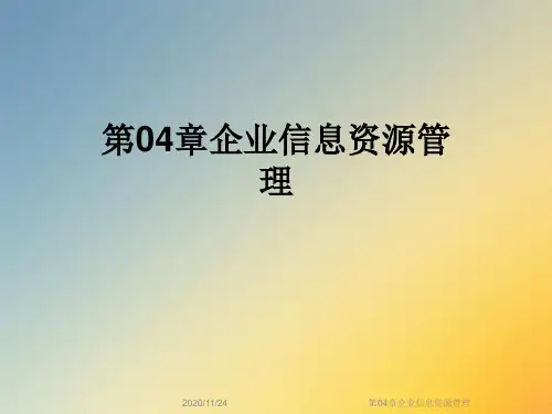 第04章企业信息资源管理