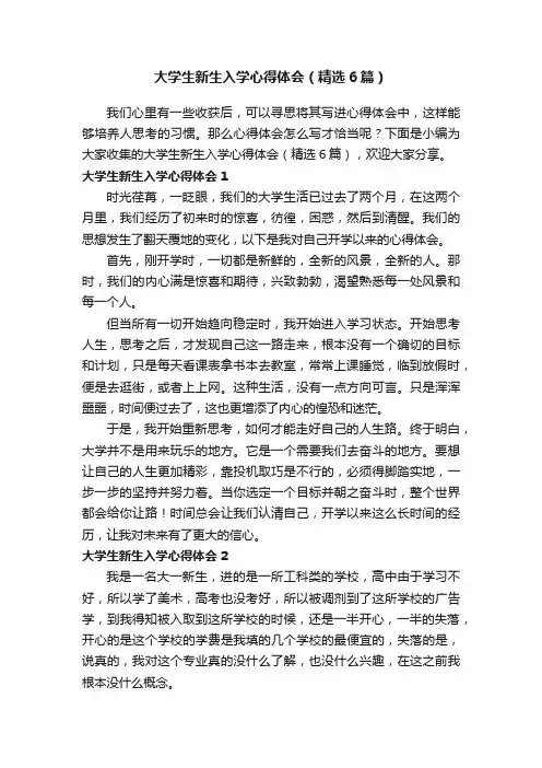 大学生新生入学心得体会（精选6篇）