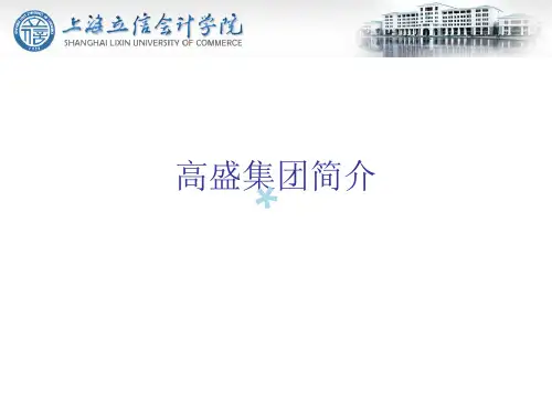 高盛集团简介[PPT课件]