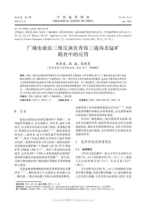 211154392_广域电磁法三维反演在青海三通沟北锰矿勘查中的应用