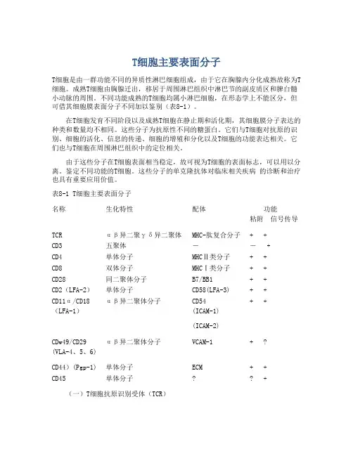 T细胞主要表面分子