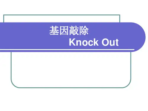 creloxp基因敲除系统