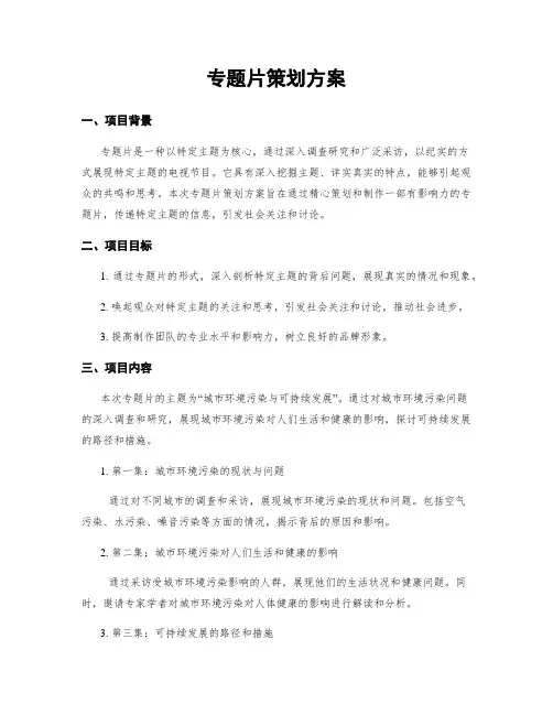 专题片策划方案