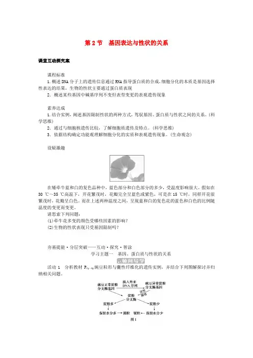 新教材2025版高中生物第4章基因的表达第2节基因表达与性状的关系学案新人教版必修2
