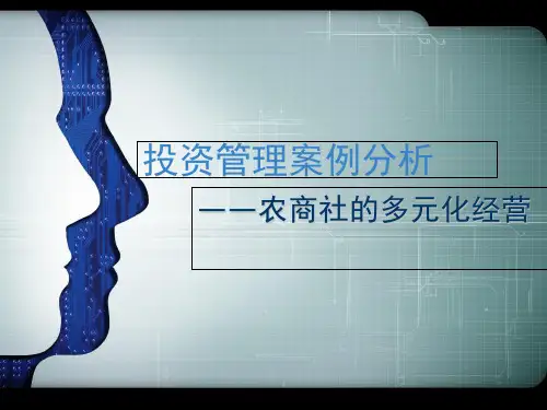 投资管理案例分析-PPT课件