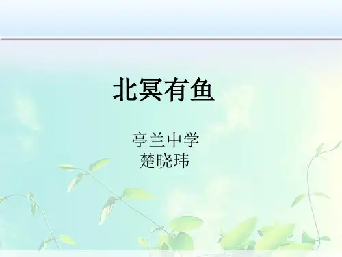 人教部编本初中语文八年级下 第6单元第21课《 庄子》二则 北冥有鱼教学课件 (共20张PPT)