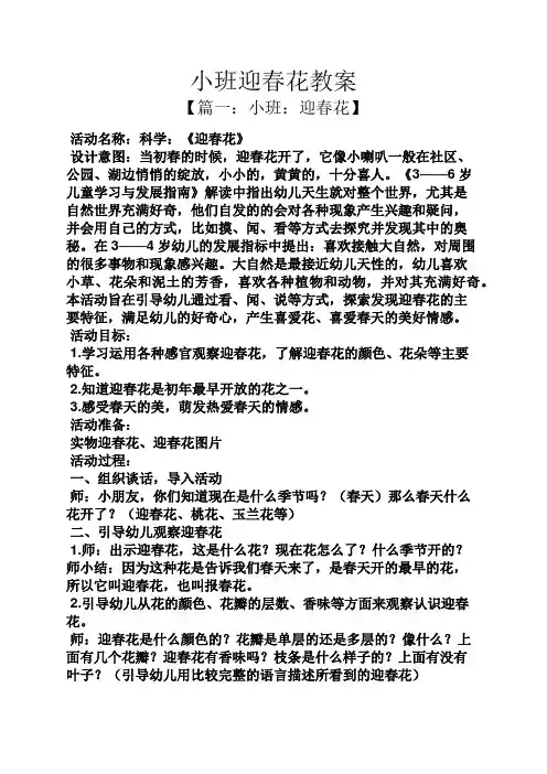 小班迎春花教案