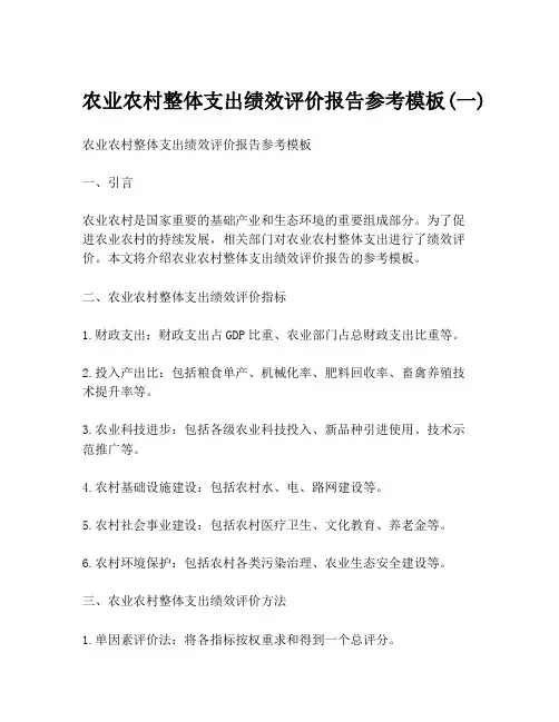 农业农村整体支出绩效评价报告参考模板(一)