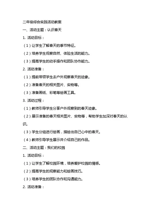 二年级综合实践活动教案