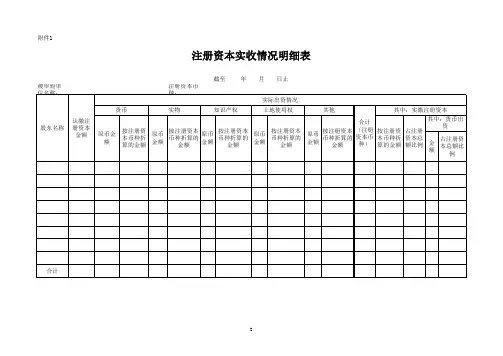 公司注册资本实收情况明细表(xls 页)