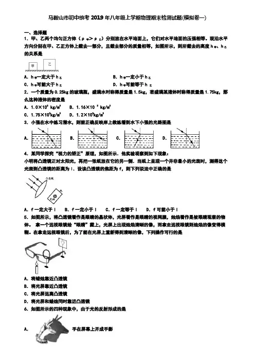 马鞍山市初中统考2019年八年级上学期物理期末检测试题(模拟卷一)