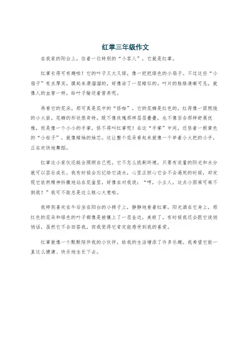 红掌三年级作文
