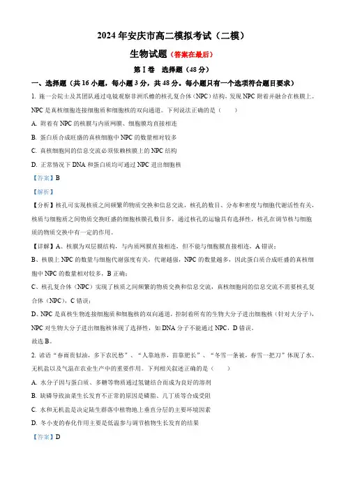安徽省安庆市2024届高三二模生物试题含答案