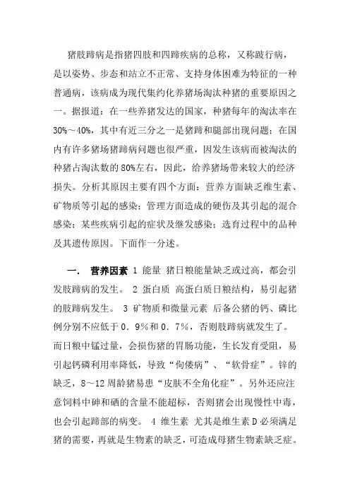 猪肢蹄病