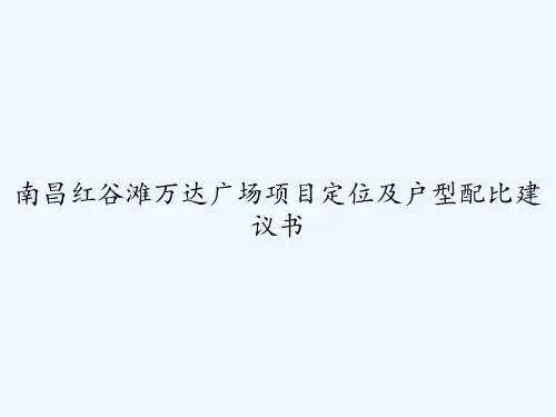 南昌红谷滩万达广场项目定位及户型配比建议书 PPT