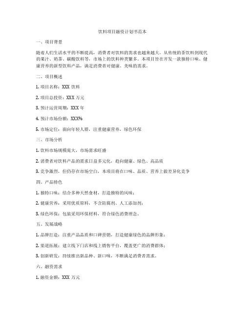 饮料项目融资计划书范本