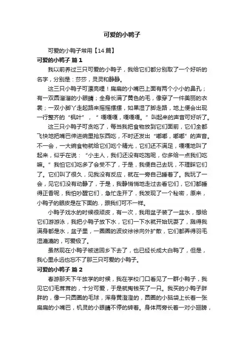 可爱的小鸭子